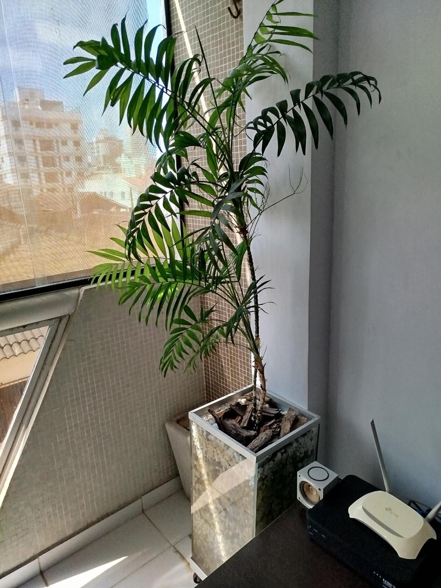 Apartamento Impecavel Na Enseada Guarujá Extérieur photo